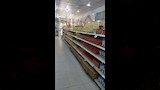 استعدادات تموين الإسكندرية لعيد الأضحى