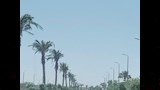 رياح مثيرة للرمال
