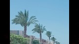 نشاط الرياح (2)