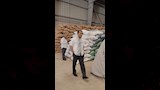 توريد القمح 