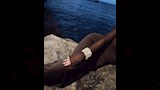 هدى الاتربي في شاطئ مدينة كان الفرنسية 