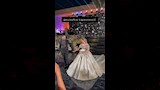 مسلم ويارا تامر (2)