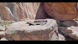 بئر المياه
