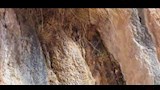 نزول لمياه من الجبل
