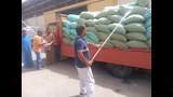 محافظ أسيوط يعلن انتهاء موسم حصاد القمح بتوريد 147 ألف طن (6)