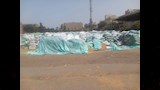 محافظ أسيوط يعلن انتهاء موسم حصاد القمح بتوريد 147 ألف طن (11)