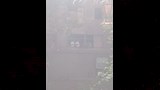 حريق داخل شركة طنطا للزيوت والصابون بالمحلة (2)