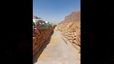  محصول القمح