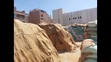  محصول القمح
