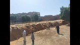  محصول القمح
