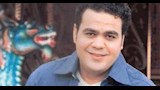 بهاء حسني