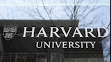 جامعة هارفارد