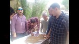 توريد قمح محلي من المزارعين في بني سويف