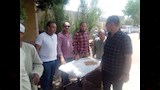 توريد قمح محلي من المزارعين في بني سويف