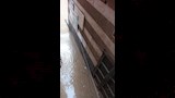 أمطار غزيرة تضرب دمياط
