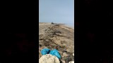 رصد بقعة التلوث البترولي بأبو رديس 