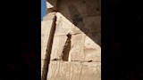 معبد هيبس ومكونات المعبد 