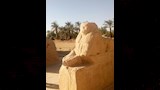 الكباش بمعبد هيبس 