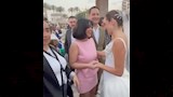 نجوم الفن في حفل زفاف أمينة خليل