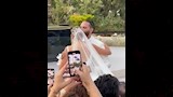حفل زفاف أمينة خليل (5)