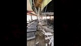 العاصفة تدمر جيم شهير بالإسكندرية 