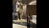 ميرنا نور الدين في المتحف المصري الكبير (3)