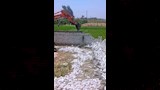تعدٍ على الأراضي الزراعية (2)