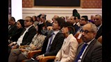 الدكتور أحمد السبكي في المؤتمر الطبي