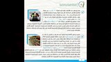 سلامة الغذاء (17)