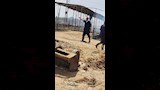 حريق مزرعة (3)