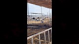 حريق مزرعة (2)