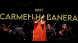 الفنانة أميرة سليم