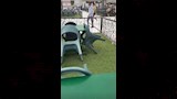 أحمد حمدي يصافح زيزو بعد العودة للتدريبات (3)