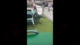 أحمد حمدي يصافح زيزو بعد العودة للتدريبات (4)
