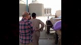 توريد 54 ألف طن قمح للشون والصوامع في بني سويف (3)