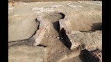 حملة الدفاع عن الحضارة المصرية (9)