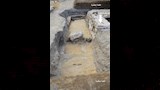 حملة الدفاع عن الحضارة المصرية (1)