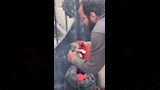 المشكو في حقه