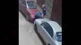 جانب من فيديو متداول لواقعة السرقة