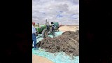 علاء فاروق وزير الزراعة واستصلاح الأراضي