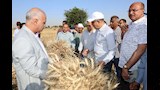 محافظ المنيا يُكرم المزارعين والرائدات الريفيات (4)