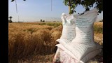 محافظ المنيا يُكرم المزارعين والرائدات الريفيات (5)