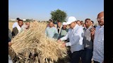 محافظ المنيا يُكرم المزارعين والرائدات الريفيات (9)