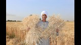محافظ المنيا يُكرم المزارعين والرائدات الريفيات (19)