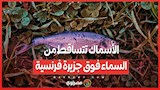 ظاهرة نادرة .. الأسماك تتساقط من السماء فوق جزيرة فرنسية