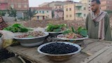 مملكة التوت