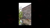 مملكة التوت