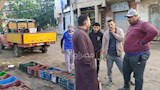 مملكة التوت