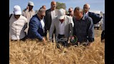 طارق مرزوق