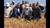 طارق مرزوق
